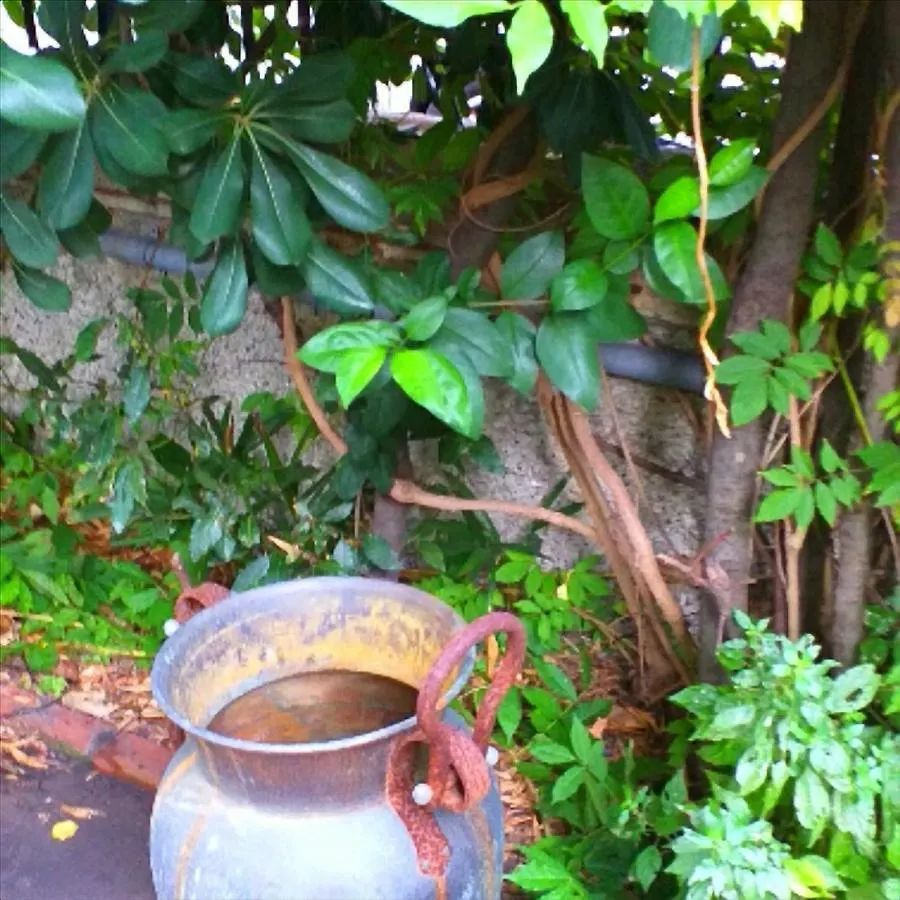 Appartement Un Giardino A Due Passi Dal Mare à La Spezia Italie